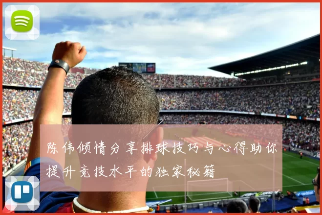 陈伟倾情分享排球技巧与心得助你提升竞技水平的独家秘籍