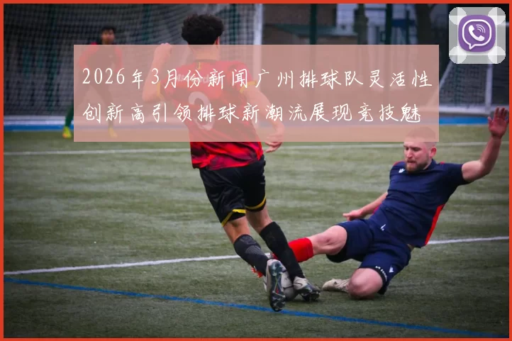 2026年3月份新闻广州排球队灵活性创新高引领排球新潮流展现竞技魅力